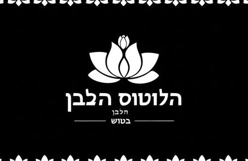 Tosh House | White lotus cafe inn tosh