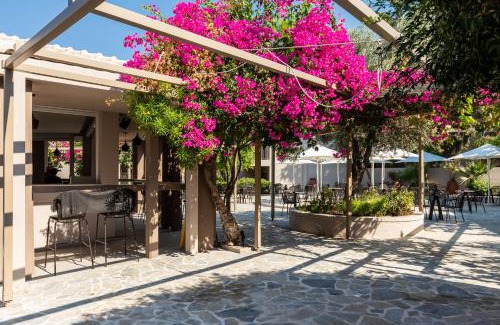 Pefkos Hotel | White Olive Premium Lindos