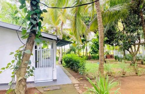 Nuwaragam Palatha East Hotel | White Queen