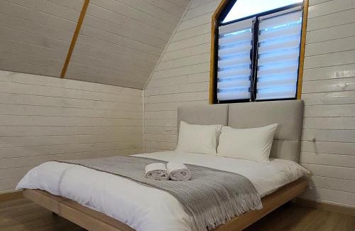 Artavaz House | White Scandinavian Barn House