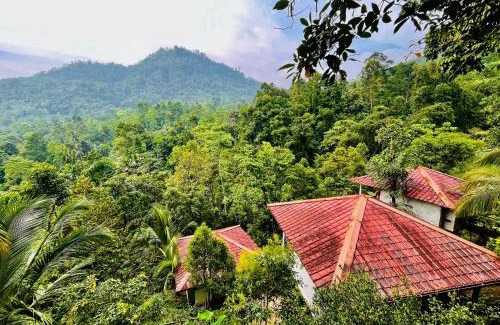 Kithulgala Hotel | White Villa Kitulgala