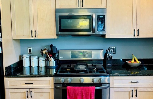 Ann Arbor House | Whole house with volleyball court and Minutes from the BIG HOUSE and UM hospital