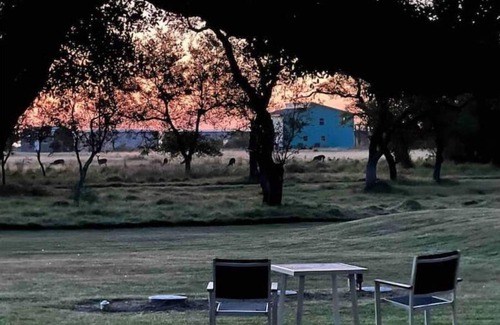Rockport House | “Whooperazzi” The Sunrise Bay View Camper