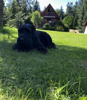 Rajcza Ski Chalet | Wichrowe Wzgórze 4