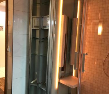 Bad Elster Apartment | Wieko Ferienwohnungen - Luxus Pur im Prinz von Preußen