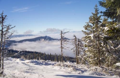Langenwang Ski Chalet | Wiesenquartier I Chalet I Adults only