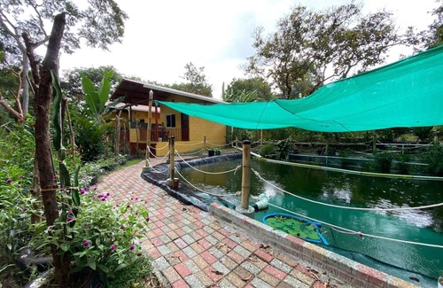 San Carlos Cabin | WiFi+Pool+10min 2 Surf+Nature+Private+Quiet