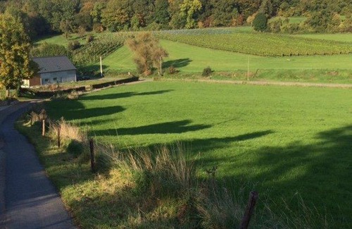 Sint-Pieters-Voeren Bed & Breakfast | Wijndomein Zwaeneberg