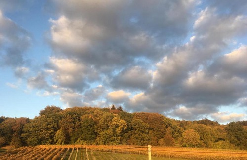 Sint-Pieters-Voeren Bed & Breakfast | Wijndomein Zwaeneberg