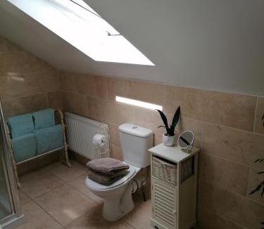 Lahinch Cabin | Wild Atlantic Lodge Bed & Breakfast