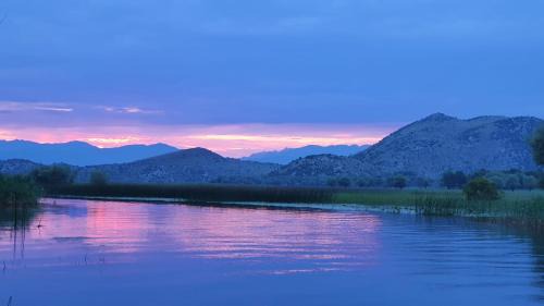 Dodosi House | Wild Beauty house Skadar lake