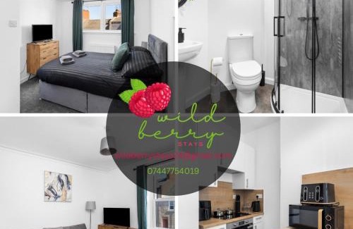 Montrose Apartment | Wild Berry Stays - Baltic Street
