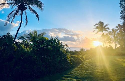 Kapoho House | Wild Blue Water