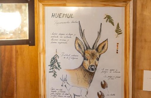 Lago Puelo Ski Chalet | Wild Cabañas Boutique