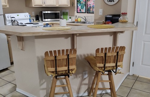 Harlingen Condo | Wild Cactus 🌵