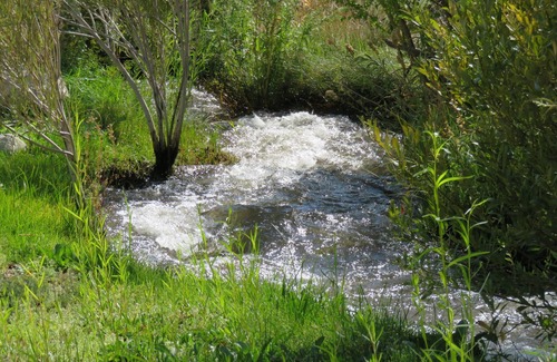Dyer House | Wild Creek is a cozy European styled house on a year round creek!