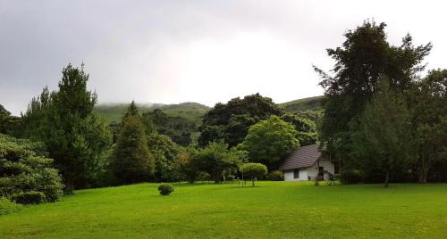 Graskop Ski Chalet | Wild Forest Inn