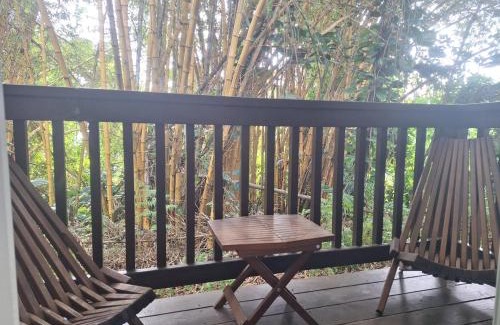 Hilo Hotel | Wild Ginger Hotel