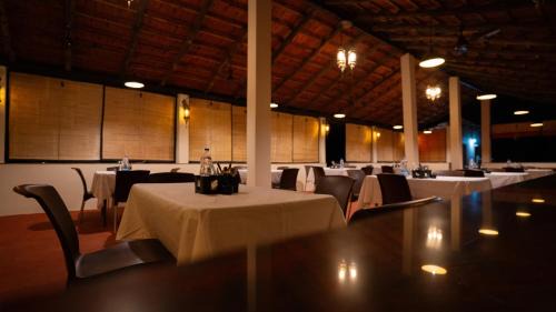Tala Resort | Wild Haven Resort Bandhavgarh