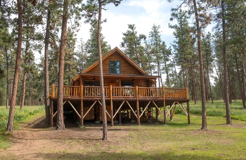 Big Arm Cabin | WILD HORSE ISLAND!