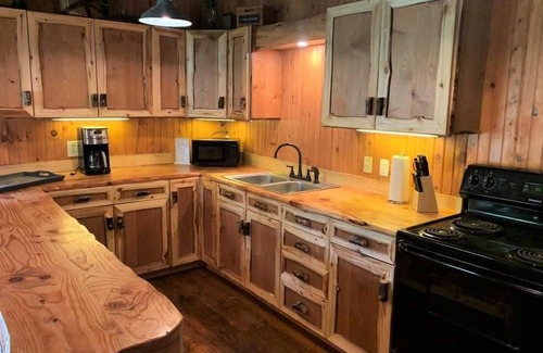 Lake City Cabin | Wild Iris - Quiet Location and Short Walk to Downtown