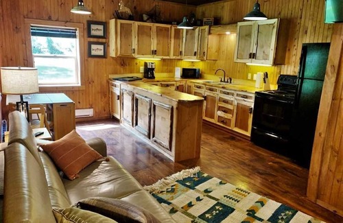 Lake City Cabin | Wild Iris - Quiet Location and Short Walk to Downtown