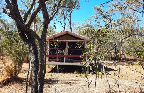 Biboohra Other | Wild Nature Lodge, Mareeba Wetlands