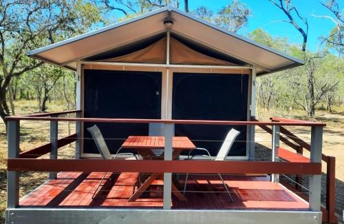Biboohra Other | Wild Nature Lodge, Mareeba Wetlands