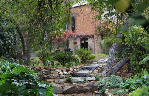 Upper Wakefield Cottage | Wild Olive Cottage Clare Valley