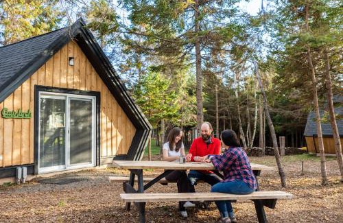 Belfast Other | Wild Pines Cabins