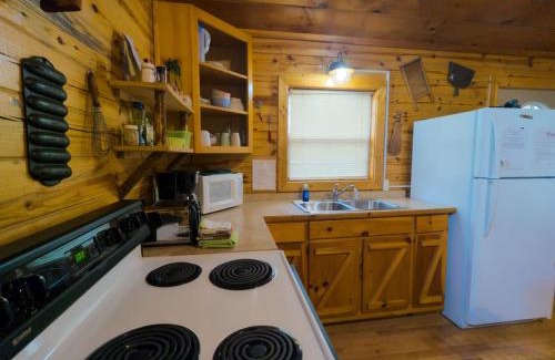 Eureka Springs House | Wild Plum Cabin No. 2