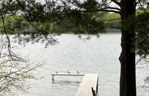 Interlochen House | Wild Refuge Lodge