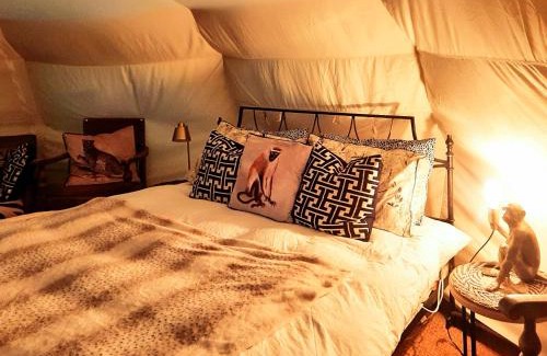 Cawston Other | Wild Retreat