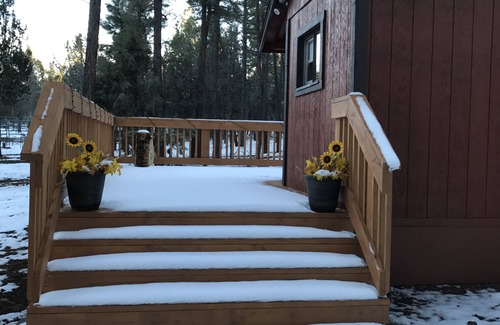 Show Low Cabin | Wild Saddle Ranch Cabin-Our gate opens to the Sitgreaves National Forest!