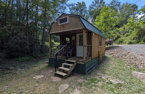 Leivasy Apartment | Wild & Wonderful WV cabin at Hominy Falls - 5 acres of wilderness on creek n