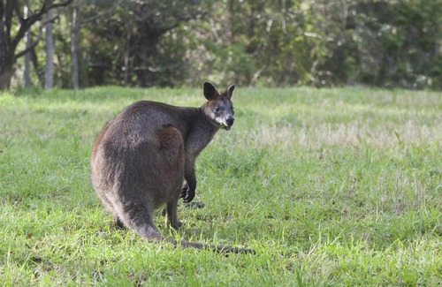 Broughton Vale House | Wilderberry Cottage