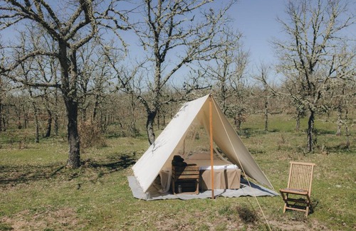 Almeida Other | WilderCamp