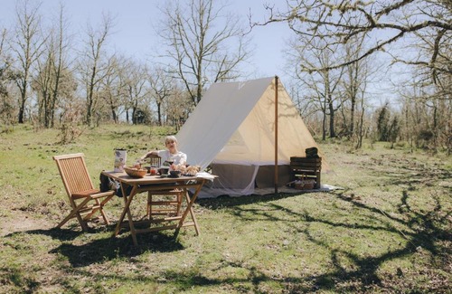 Almeida Other | WilderCamp