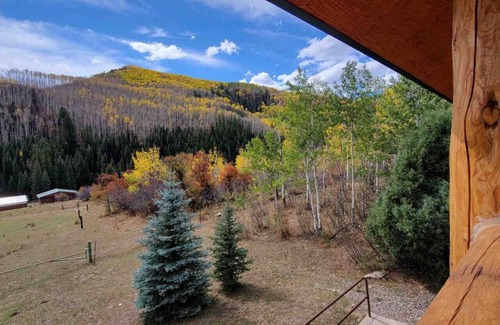 Somerset Cabin | Wilderness Cabin In Colorado Mountains