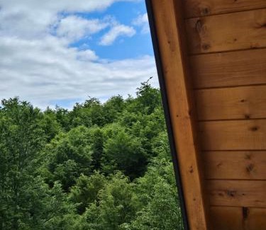 Kolasin Municipality Ski Chalet | Wilderness Cabin