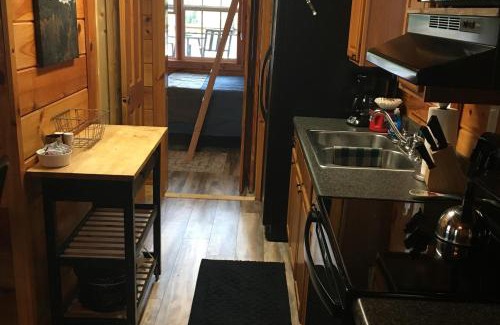Bryson City House | Wildlife Cabin On The River