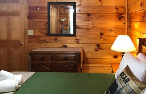 Bryson City House | Wildlife Cabin On The River