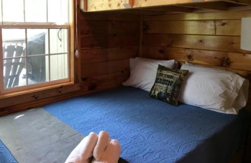 Bryson City House | Wildlife Cabin On The River