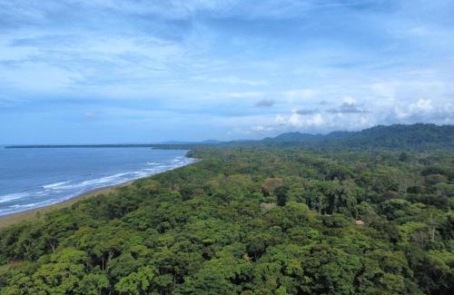 Cahuita Cabin | Wildlife Lodge Cahuita