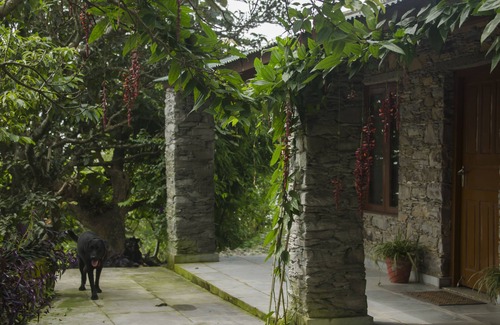 Jakh Cottage | Wildlife, Nature & Peace off the beaten track - Your Private Wilderness