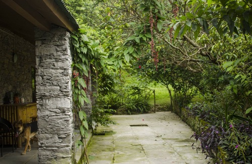 Jakh Cottage | Wildlife, Nature & Peace off the beaten track - Your Private Wilderness