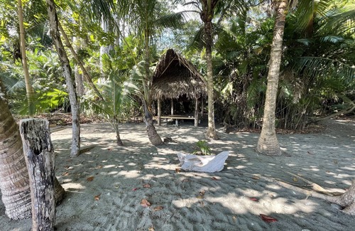 Palma Villa | Wildlife Vacations & Beach Lounge @ Paz