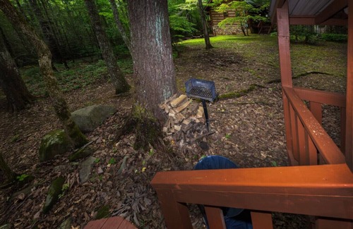 Cosby Cabin | Wildwood Flower -Rustic, cozy, authentic log cabin