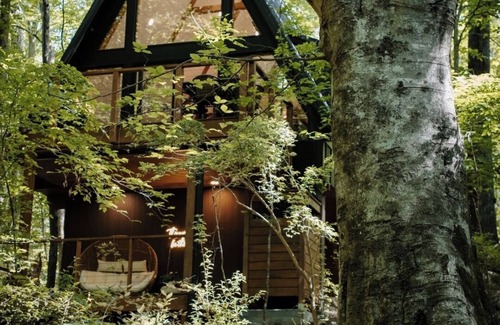 Abbeville Cottage | Wilewood A-Frame nSecluded/RomanticnHot Tub/Cold plunge