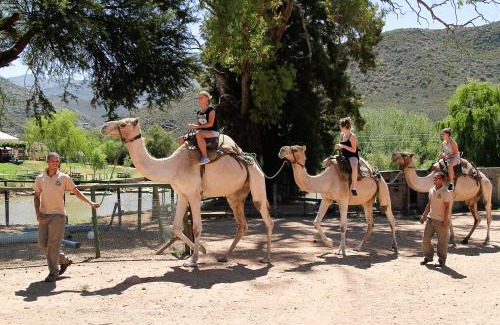 Oudtshoorn Bed & Breakfast | Wilgewandel Holiday Farm & Day Restaurant